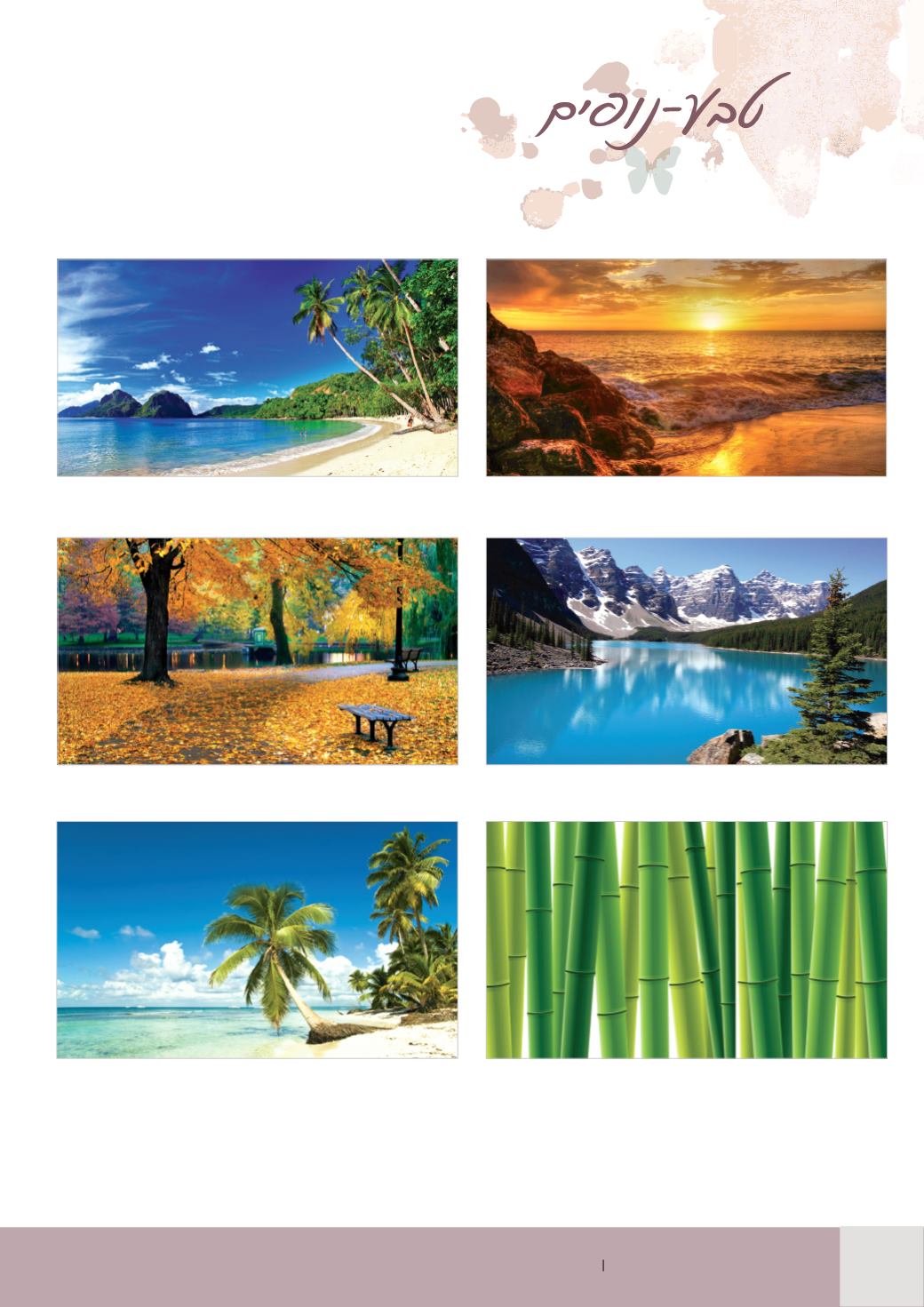 Page Background